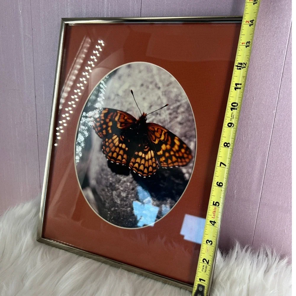 Vintage Butterfly Moth Forest Framed Art Nature Photography Silver Metal Frame